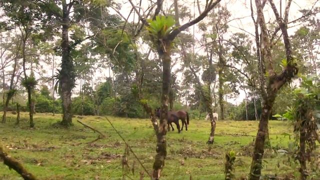 What is a Soda? смотреть онлайн