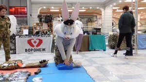 Выставка волонтеров СВО 23 марта 2025. Воронеж
