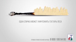 О сбережении лесных ресурсов России