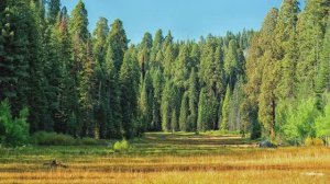 Миссия выполнима ! ( авторские стихи в музыкальном оформлении )
