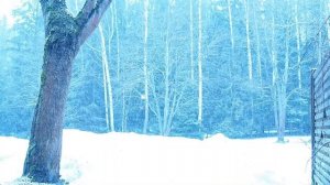 AMBIENT MUSIC | Расслабляющая музыка в стиле Эмбиент