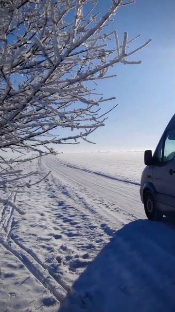 Im Winter angekommen ❄️☃️ #brassplayer #blechbläser #music #mercedes #ontour #shorts #youtubeshorts смотреть онлайн