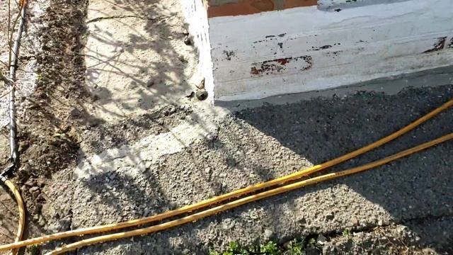 Ирга сорт Тиссен в марте. Начало огородных хлопот.