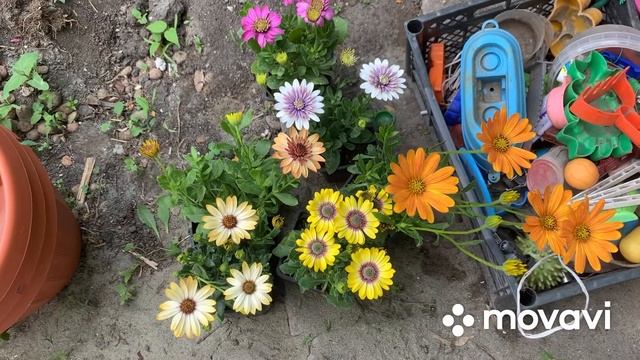 Хвастаюсь покупками 😁👏 смотреть онлайн