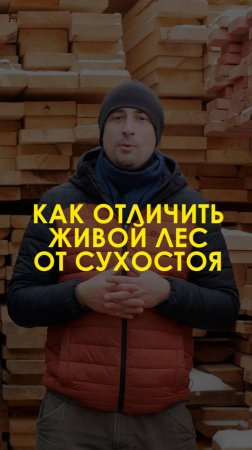 🌲Вот почему «Альянс-Лес» — ваш лучший выбор: