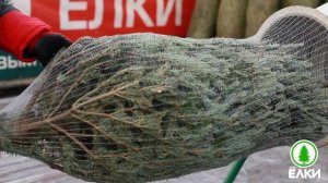 Правильная упаковка елок