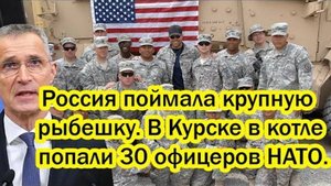В Курске произошел крупный улов для России. Попали в ловушку 30 офицеров НАТО.