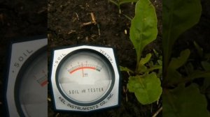 Как улучшить почву