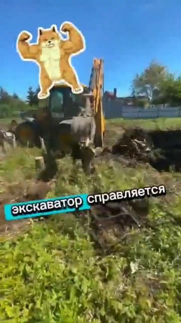 ПРАВИЛЬНОЕ корчевание пней трактором JCB #дачныесоветы #jcb #трактор #стройка #сад #участок #дом смотреть онлайн