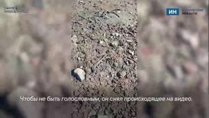В Пучеже на пляже обнаружили человеческие останки