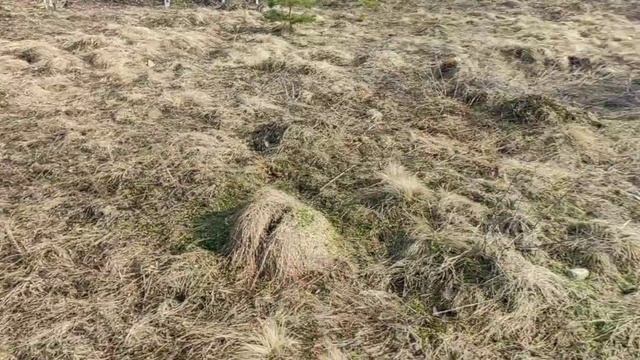 Земельный участок