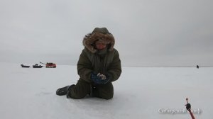 УДОЧКА ТРЕЩАЛА ОТ ОКУНЕЙ