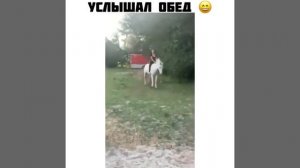 Ты пока умойся, а я поем 😁