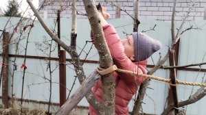 Мы открываем новый сезон. Как нас встретили сад и огород. Обрезка яблонь и слив.