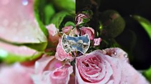 Сказочный Проект 4 С Днём Рождения от Киностудии Мудрого Кота Тимофея!