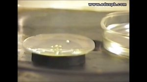 Замерзание воды при пониженном давлении