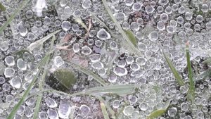 Добываем воду. Весна. Природа просыпается.