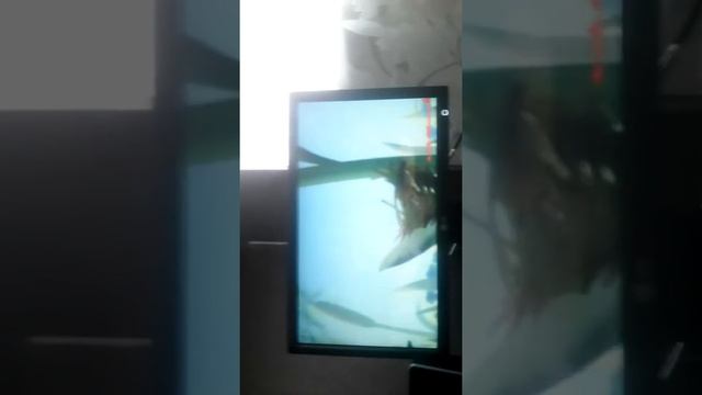 приколы про лунтика проста угар смотреть онлайн