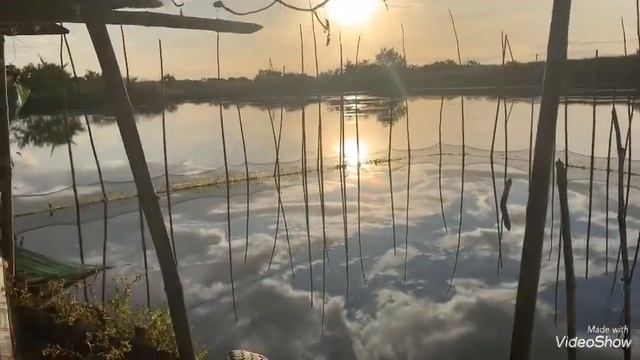 Part2 Orani Bataan Fishpond tara mag Harvest tayoo 😍☺️
