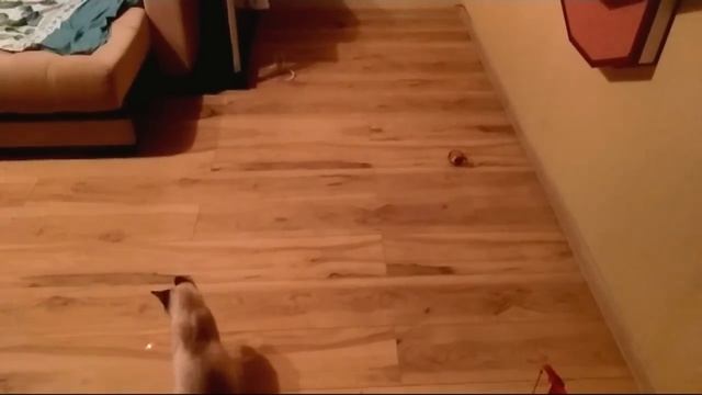 Алиэкспресс 11 смотреть онлайн