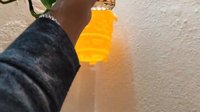 #diy Top 3 Best Ways to Decorate your Pothos under ₹10 || Botanical Babu || Episode-2 смотреть онлайн