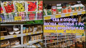 Победа. Открылся новый магазин. Заглянули посмотреть.