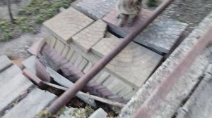 Мой кот когда он гуляет по улице 😸
