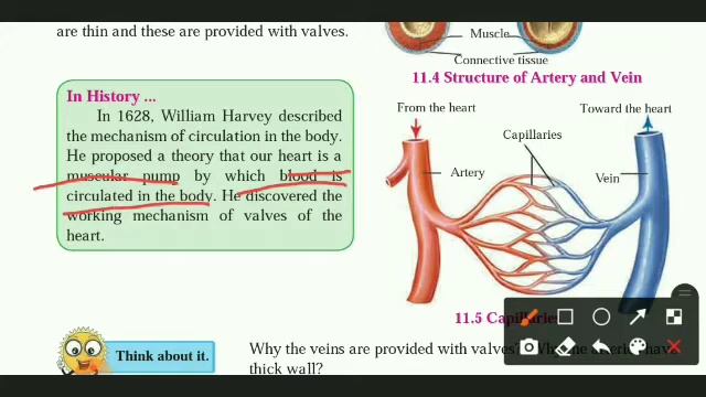 Human Body and Organ System | Part 4 | Class 8 | Chapter 11 | Science | Marathi | State Board смотреть онлайн