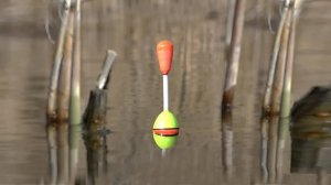 Ловля плотвы и густеры на поплавочные снасти маховой удочкой! Рыбалка на поплавок рыбалка 2025