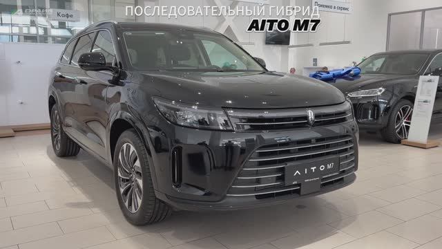 Обзор AITO M7 позолоченный черный цвет кузова
черная полярная ночь цвет салона