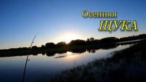 Ловля ЩУКИ в сентябре.  Этот воблер опять сделал рыбалку