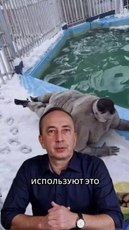 Шокирующая находка в нейросетях что за жуткое видео и зачем оно нужно