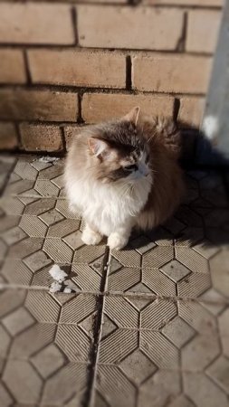 По дороге на работу 😍