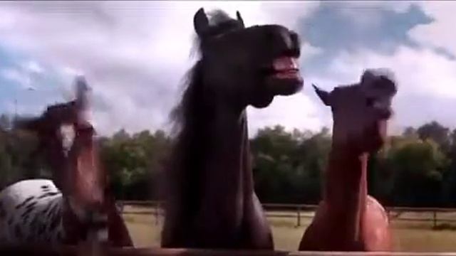 Ржание смотреть онлайн