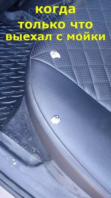 когда только помыл тачку. голубь when I just washed the car. Dove