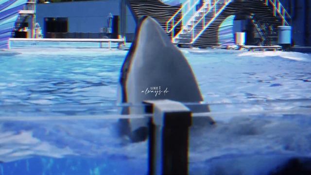 with the ghost of you смотреть онлайн