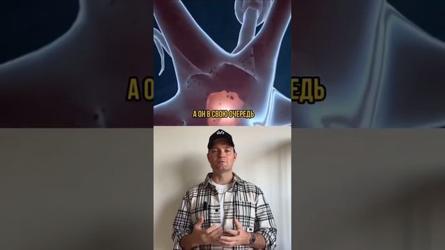 Как залатать "дырявый кишечник"?