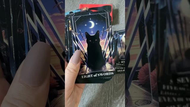 Таро Черных Котов Black Cat Tarot #таро #новаяколодатаро #новоетаро #картытаро #тарочерныхкошек