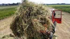 т25+кун грузим сено