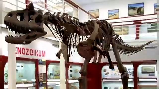 Странние динозавры смотреть онлайн