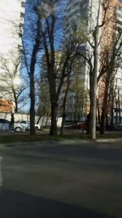 video_2025-03-24_10-38-28