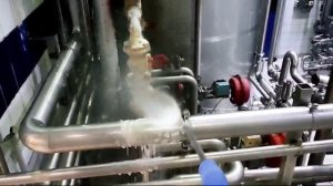 жизнь - это...