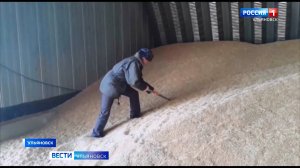 Более 100 тысяч тонн зерна проверил Россельхознадзор при внутрироссийских перевозках