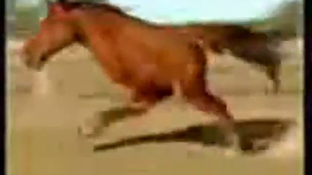 Проверка на психику!!! если засмеешся ты псих смотреть онлайн