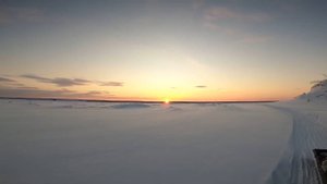 Курья, ловля сороги в глухозимье. 14.02.2022