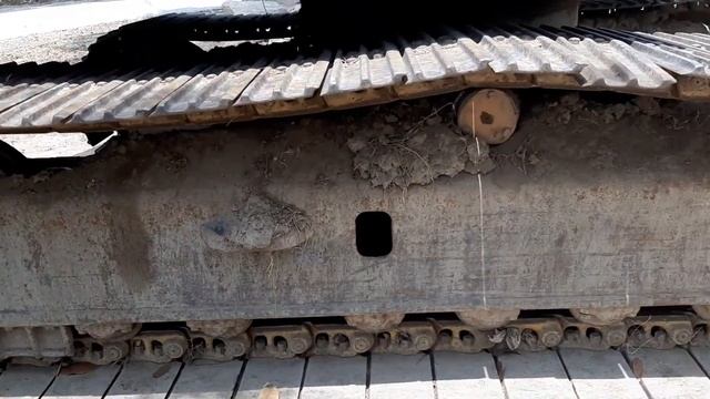 Экскаватор Komatsu и обезьяны в Тайланде смотреть онлайн