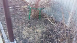 Воскресенье 23.03.25.