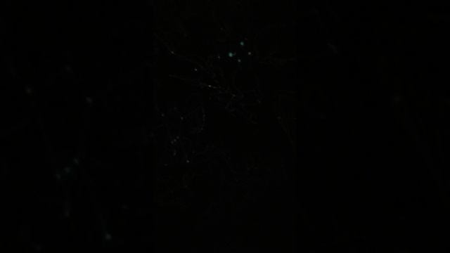 1 часть