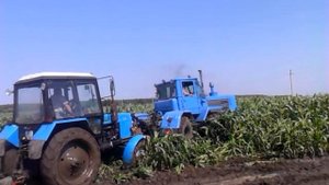 Трактор грязи не боится!