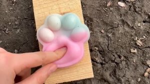 ТАБА ЛАПКА (Хаски Энигма)